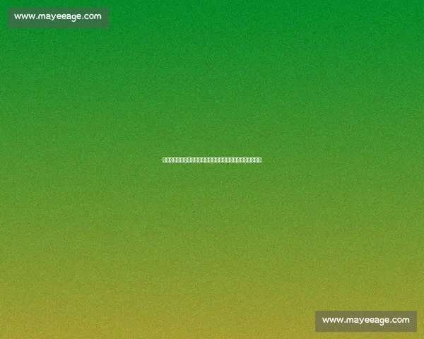 凯尔特人对阵热火完整赛程时间表与焦点看点深度前瞻分析展望 凯尔特人对阵热火完整赛程时间表与焦点看点深度前瞻分析展望